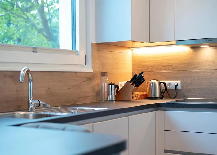 Langegger 1956 Apartment